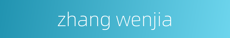 zhang wenjia的同义词