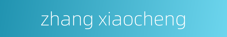 zhang xiaocheng的同义词
