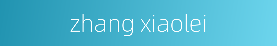 zhang xiaolei的同义词