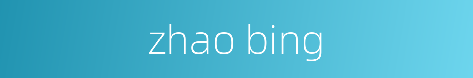 zhao bing的同义词
