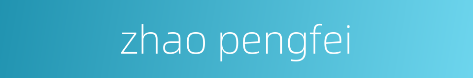 zhao pengfei的同义词