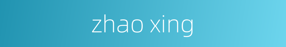 zhao xing的同义词