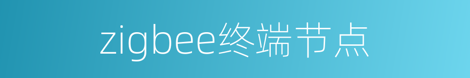 zigbee终端节点的同义词