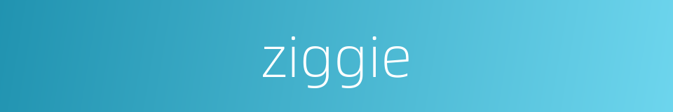 ziggie的同义词
