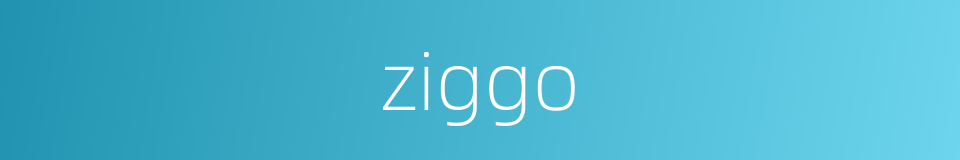 ziggo的同义词