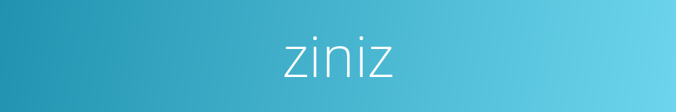 ziniz的同义词