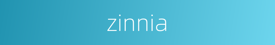 zinnia的同义词