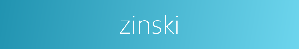 zinski的同义词