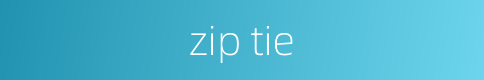 zip tie的同义词