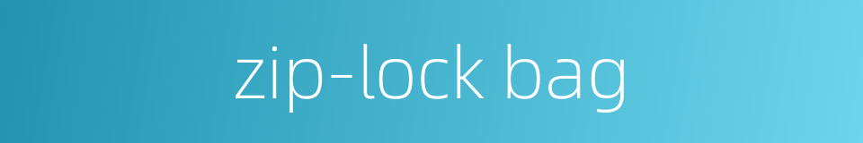 zip-lock bag的同义词