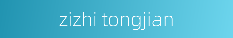 zizhi tongjian的同义词
