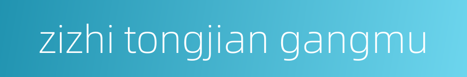 zizhi tongjian gangmu的同义词