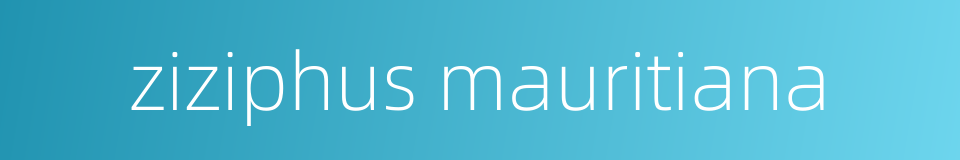 ziziphus mauritiana的同义词