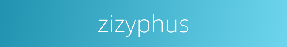 zizyphus的同义词