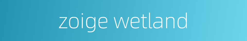 zoige wetland的同义词