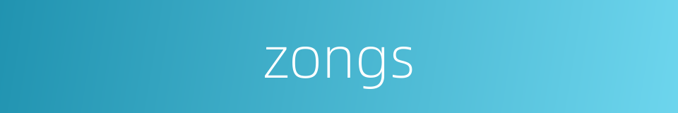 zongs的同义词