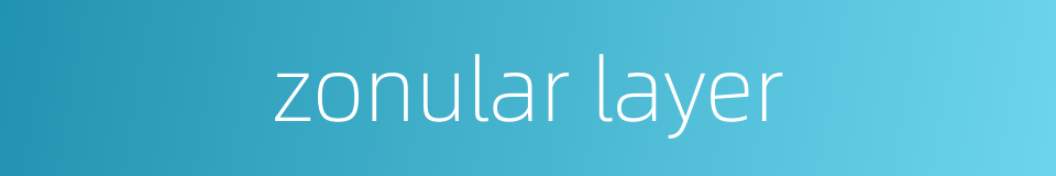 zonular layer的同义词