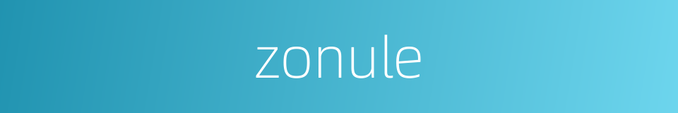 zonule的同义词