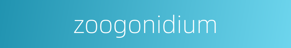 zoogonidium的同义词