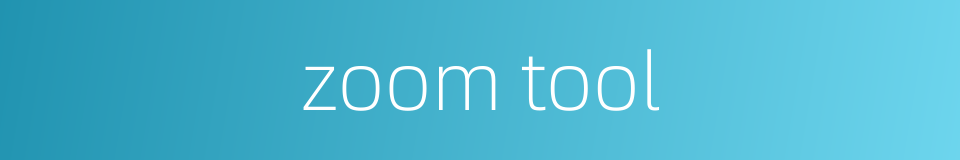 zoom tool的同义词