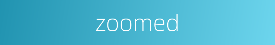 zoomed的同义词