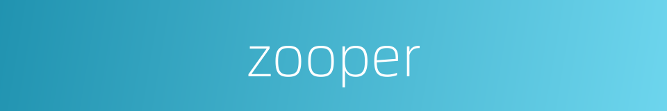 zooper的同义词