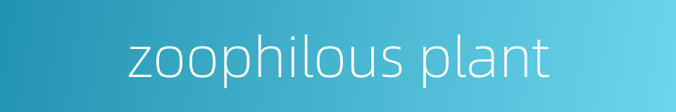zoophilous plant的同义词