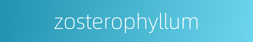 zosterophyllum的同义词