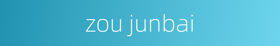 zou junbai的同义词