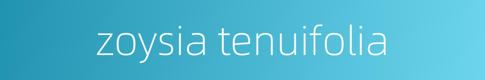 zoysia tenuifolia的同义词