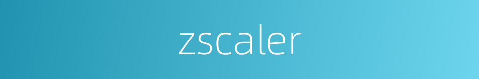 zscaler的同义词