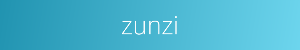 zunzi的同义词