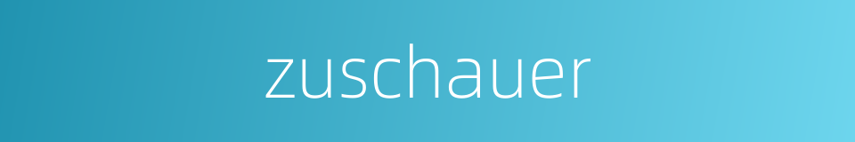 zuschauer的同义词
