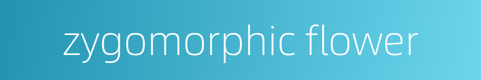 zygomorphic flower的同义词