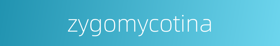 zygomycotina的同义词