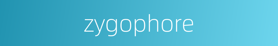 zygophore的同义词
