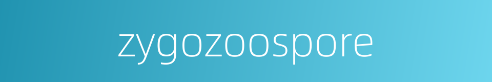zygozoospore的同义词